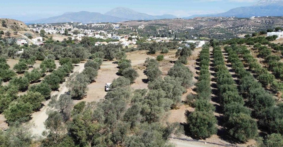 LAND PLOT 2.600 m² FOR SALE IN PITSIDIA