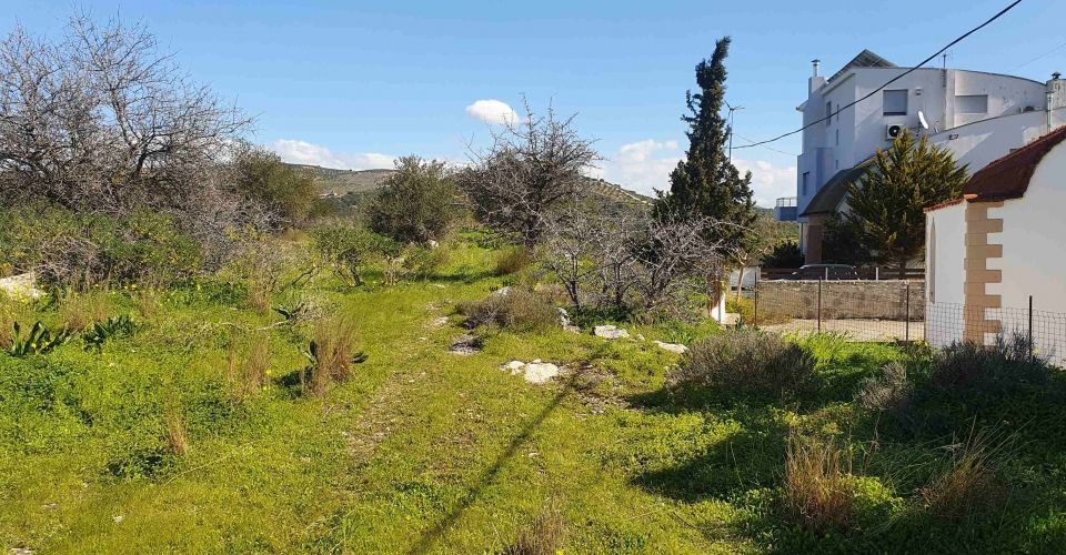 LAND PLOT 2000 m² FOR SALE IN MOIRES