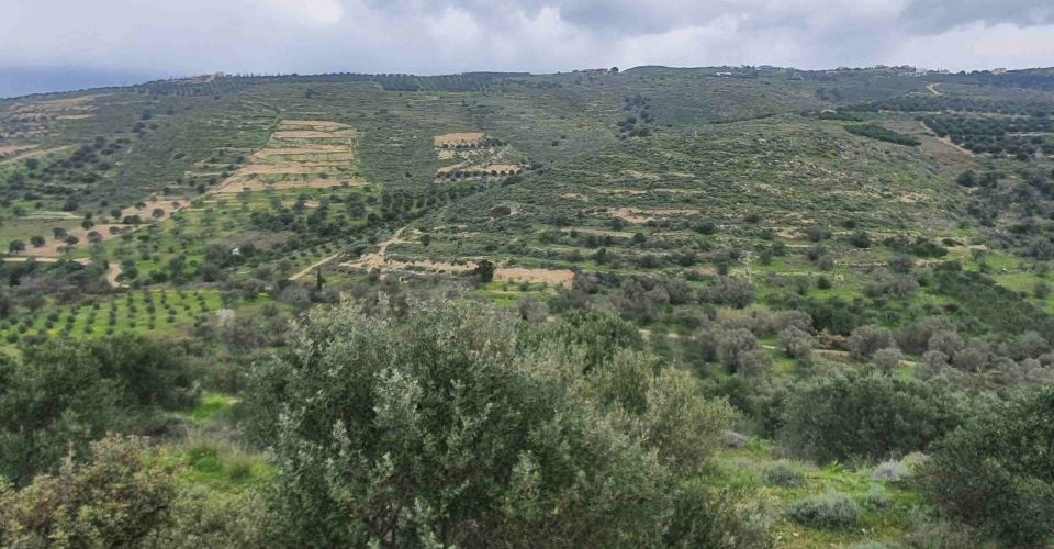 LAND PLOT 11260 m² FOR SALE IN PITSIDIA