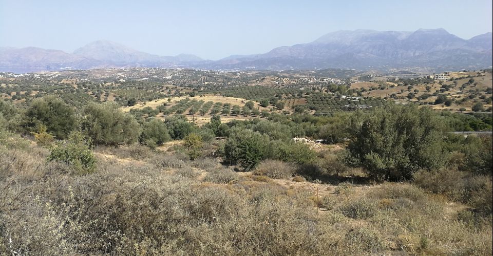 LAND PLOT 2.800 m² FOR SALE IN LISTARO