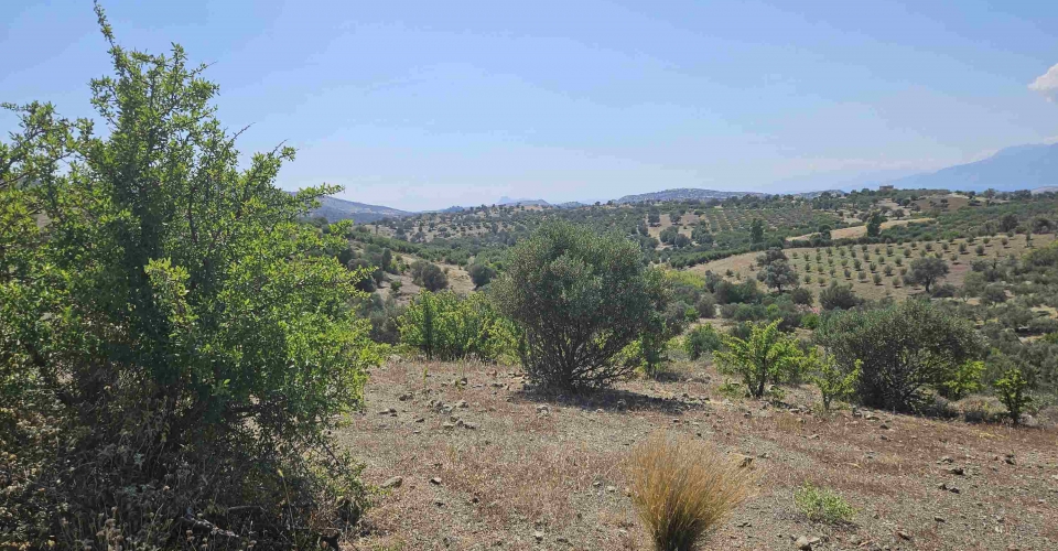LAND PLOT 7500 m² FOR SALE IN LISTAROS