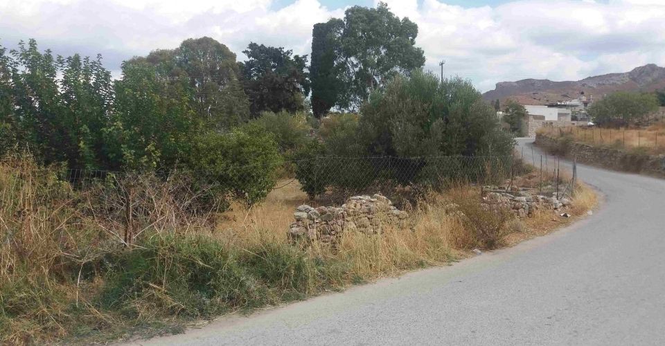 LAND PLOT 737 m² FOR SALE IN POMBIA