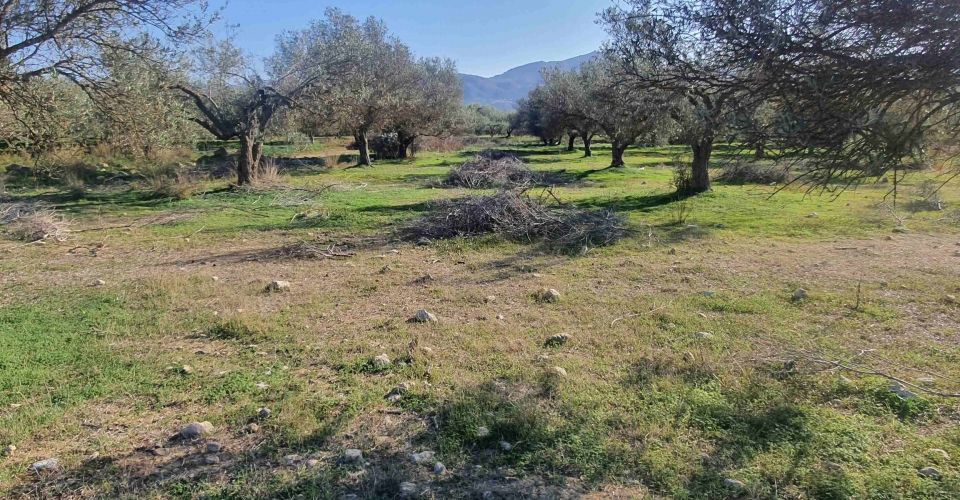 LAND PLOT 3400 m² FOR SALE IN MOIRES