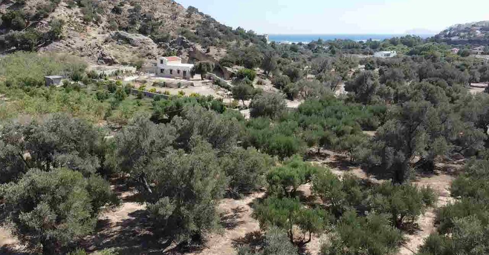 LAND PLOT OF 6546 m² FOR SALE IN AGIA GALINI