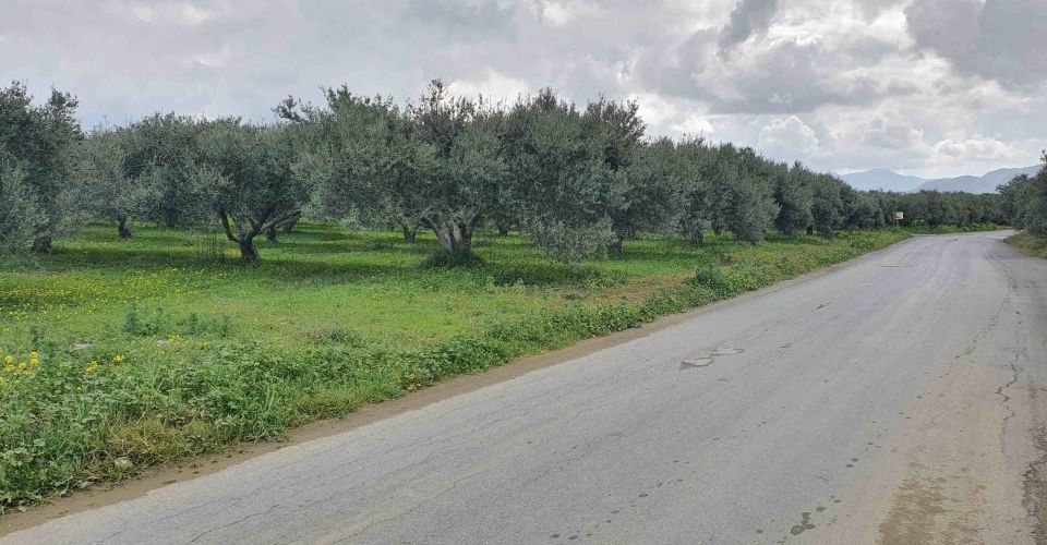 AGRICULTURAL LAND 3.300 m² FOR SALE IN MIRES