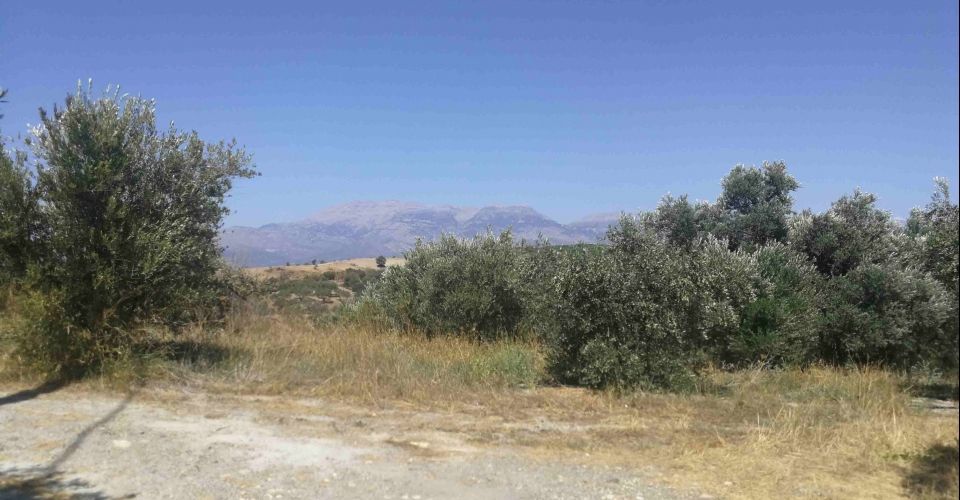 LAND PLOT 2297 m² FOR SALE IN LISTAROS