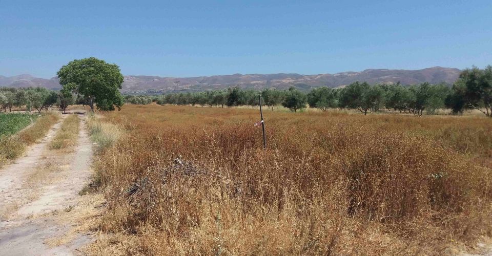 AGRICULTURAL LAND PLOT 2700 m² FOR SALE IN KAPPARIANA