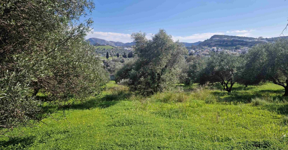 LAND PLOT 2080 m² FOR SALE IN PITSIDIA
