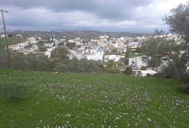 LAND PLOT 2.000 m² FOR SALE IN PITSIDIA