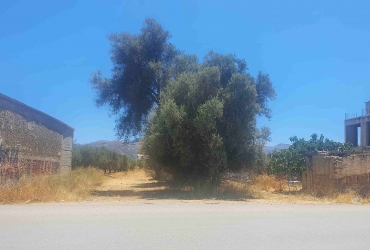 LAND PLOT 2445 m² FOR SALE IN KAPPARIANA