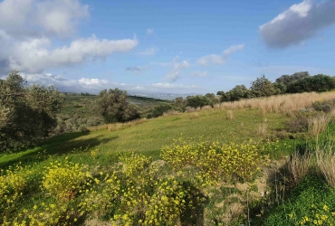 LAND PLOT 4011 m² FOR SALE IN PITSIDIA