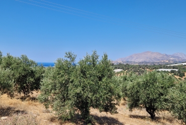 LAND PLOT OF 10494 m² FOR SALE IN LAGOLIO