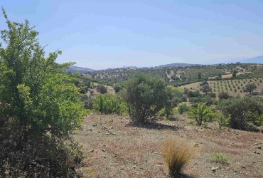 LAND PLOT 2050 m² FOR SALE IN LISTAROS