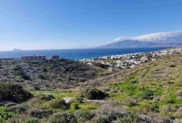 LAND PLOT 4740 m² FOR SALE IN PITSIDIA