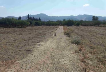 AGRICULTURAL LAND 3.100 m² FOR SALE IN MIRES