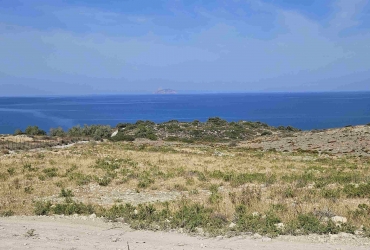 LAND PLOT 4.000 m² FOR SALE IN PITSIDIA