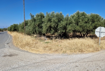 AGRICULTURAL LAND 1.900 m² FOR SALE IN TYMPAKI