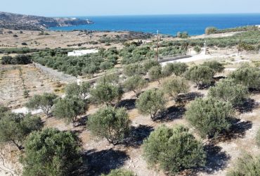 LAND PLOT 755 m² FOR SALE IN PITSIDIA