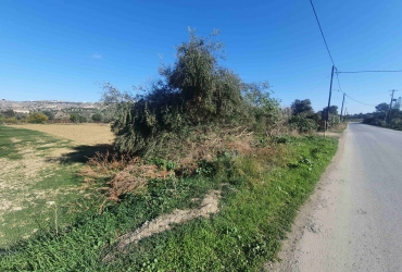LAND PLOT 2000 m² FOR SALE IN PITSIDIA 