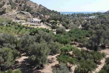 LAND PLOT OF 6546 m² FOR SALE IN AGIA GALINI