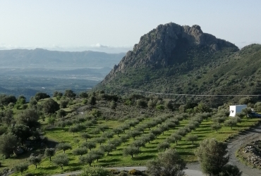 AGRICULTURAL LAND 4025 m² FOR SALE IN KAMARES
