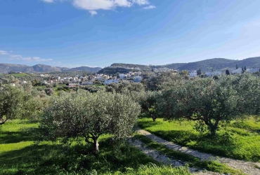 LAND PLOT 2.100 m² FOR SALE IN PITSIDIA