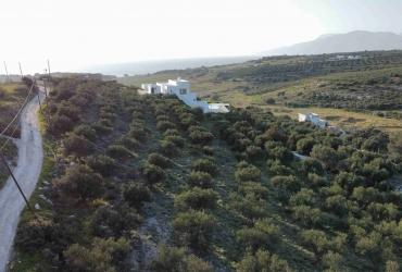 LAND PLOT 4300 m² FOR SALE IN PITSIDIA