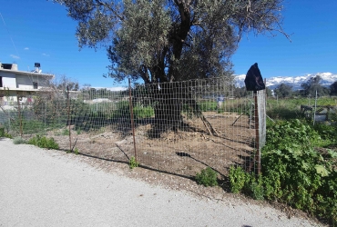 LAND PLOT 206 m² FOR SALE IN TIMBAKI
