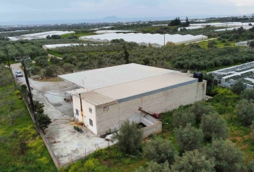 OLIVE MILL 252 m² FOR SALE IN TΥMBAKI