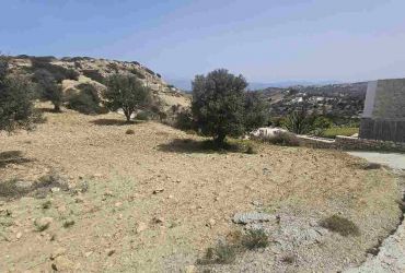LAND PLOT 3300 m² FOR SALE IN PITSIDIA