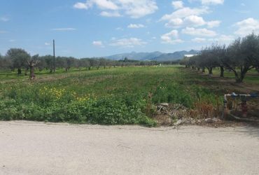 LAND PLOT 2186 m² FOR SALE IN KAPPARIANA